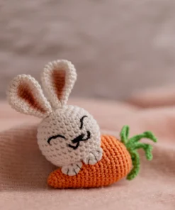 Bunny with Carrot keychain (6)