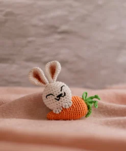 Bunny with Carrot keychain (7)