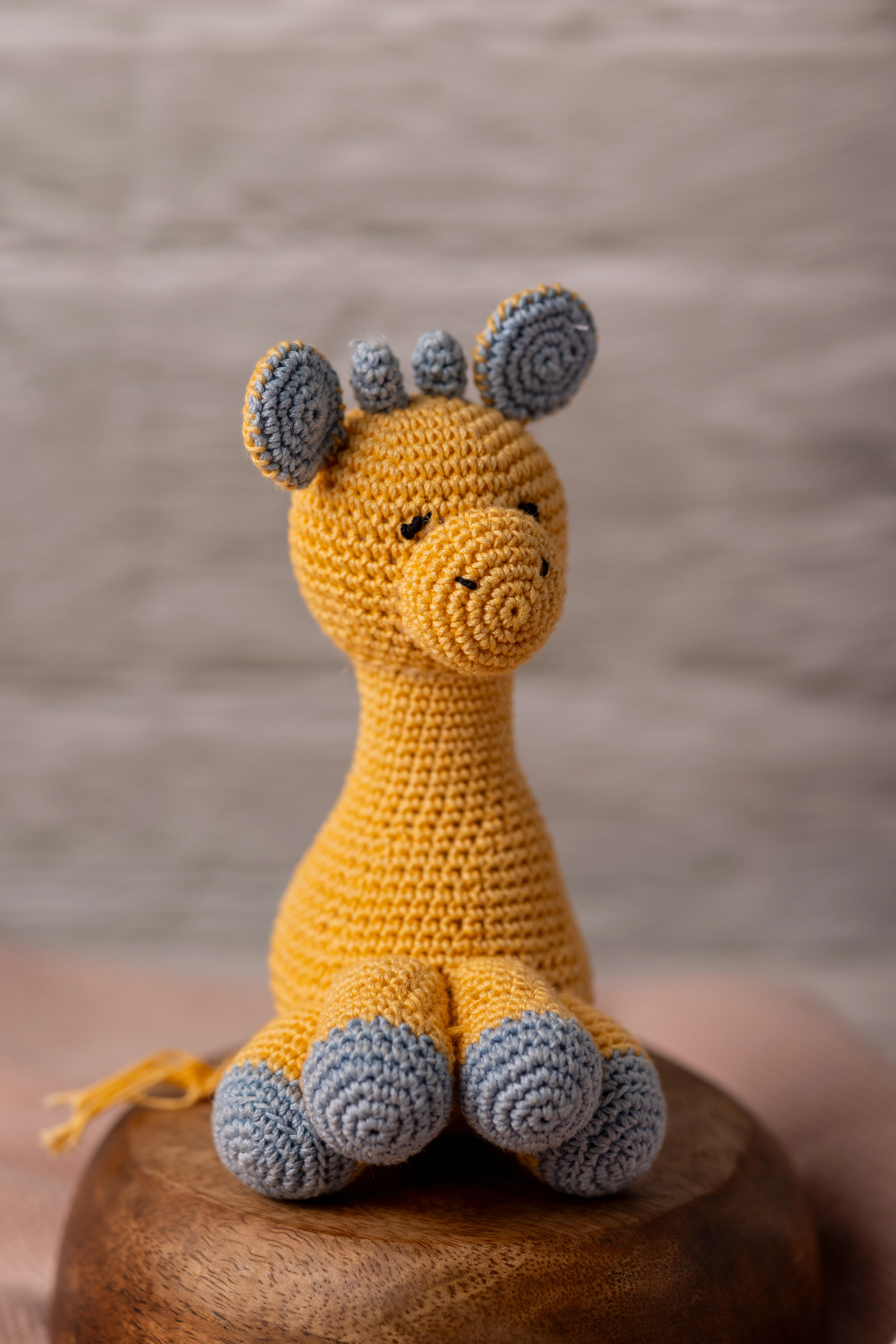 Ingu Giraffe (7)