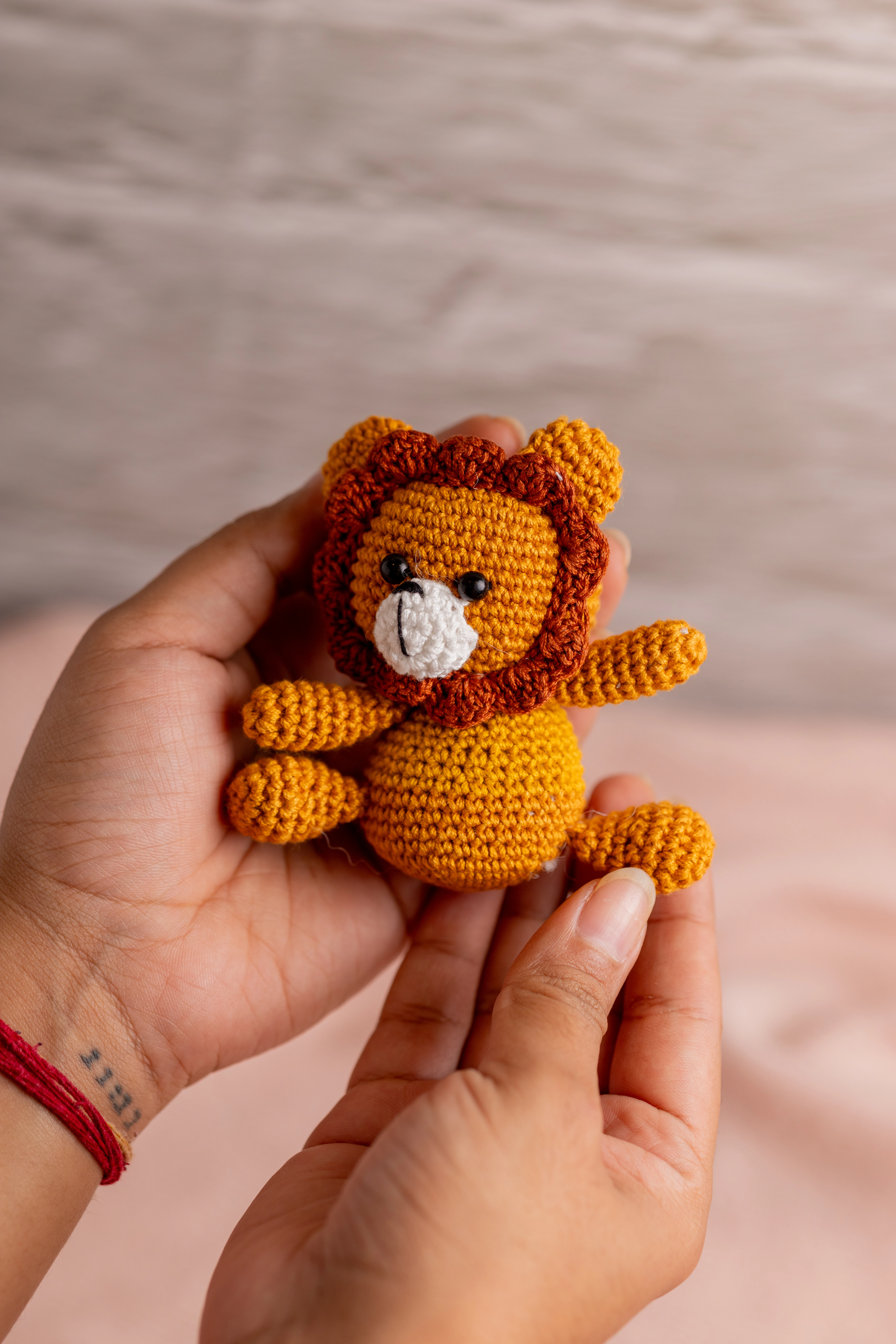 Lion Rattle and Toy Set (1)