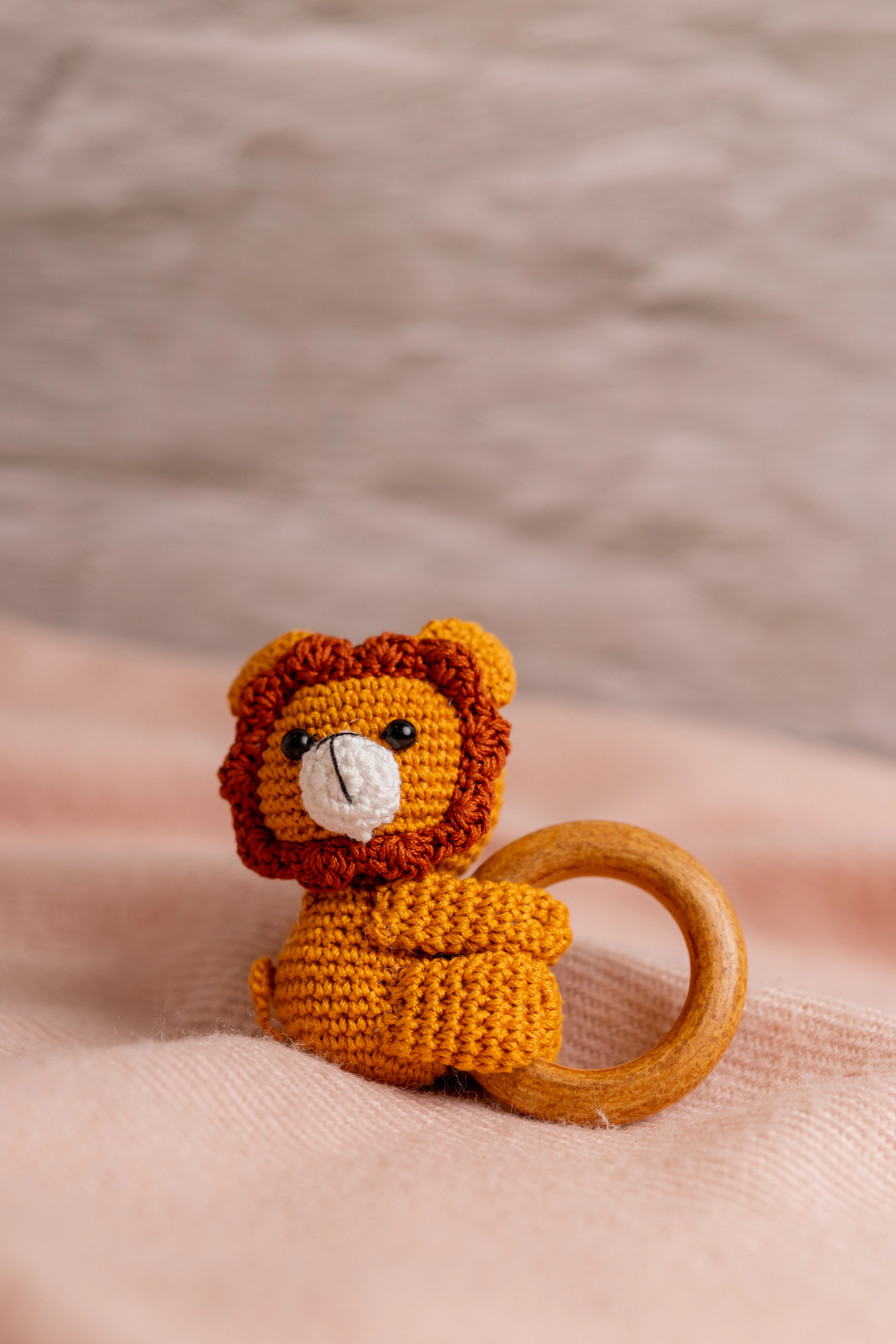 Lion Rattle and Toy Set (10)