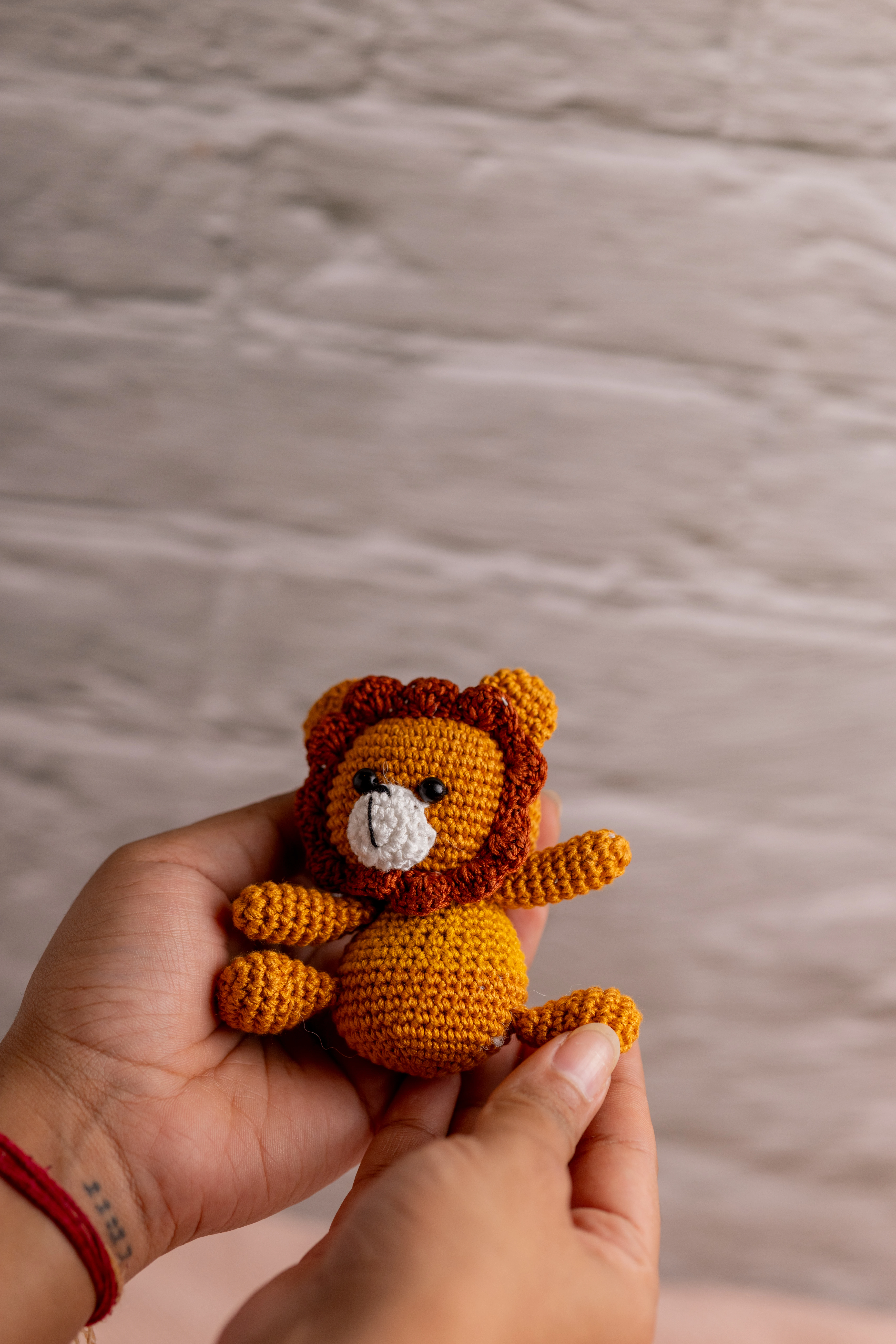 Lion Rattle and Toy Set (11)