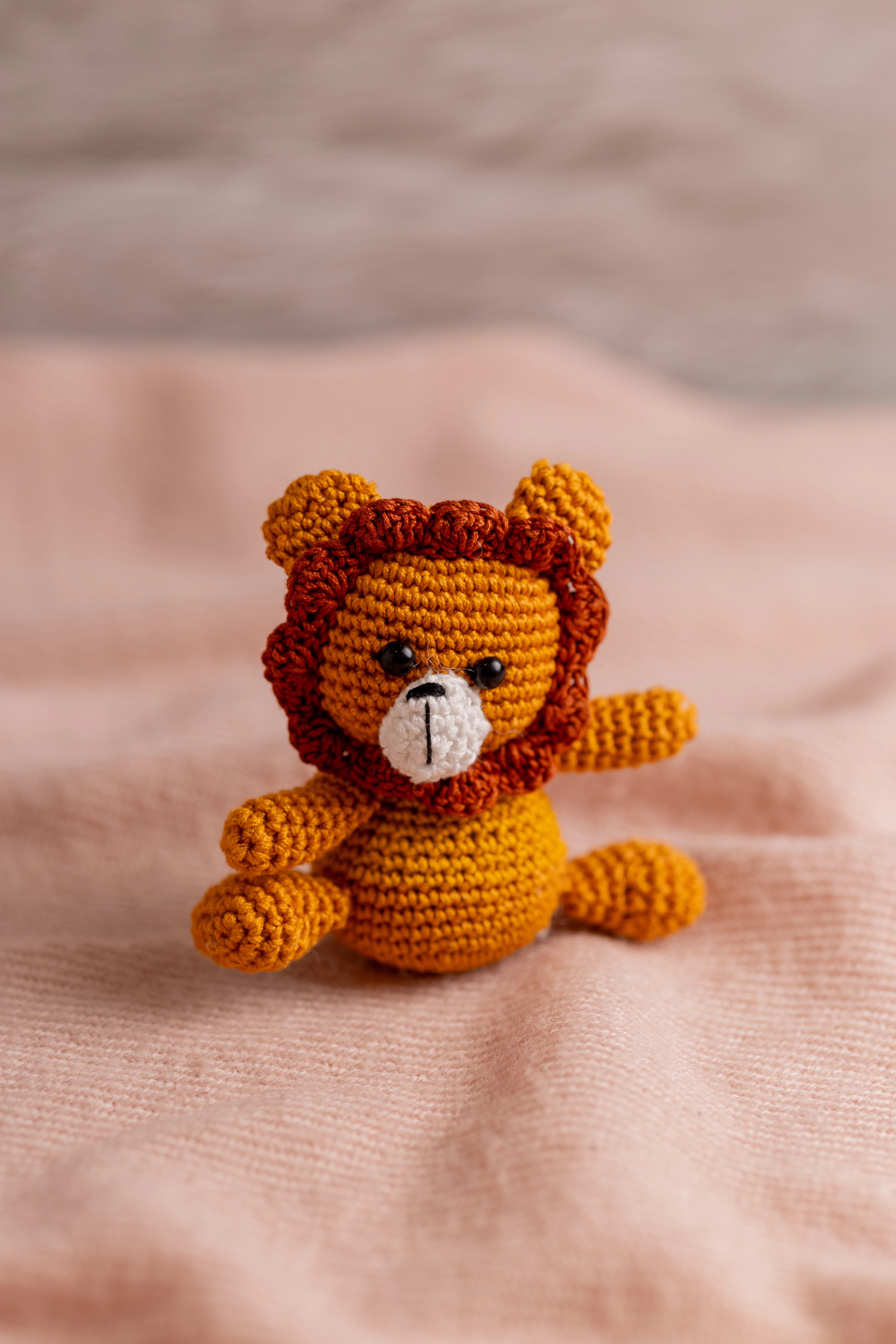 Lion Rattle and Toy Set (3)