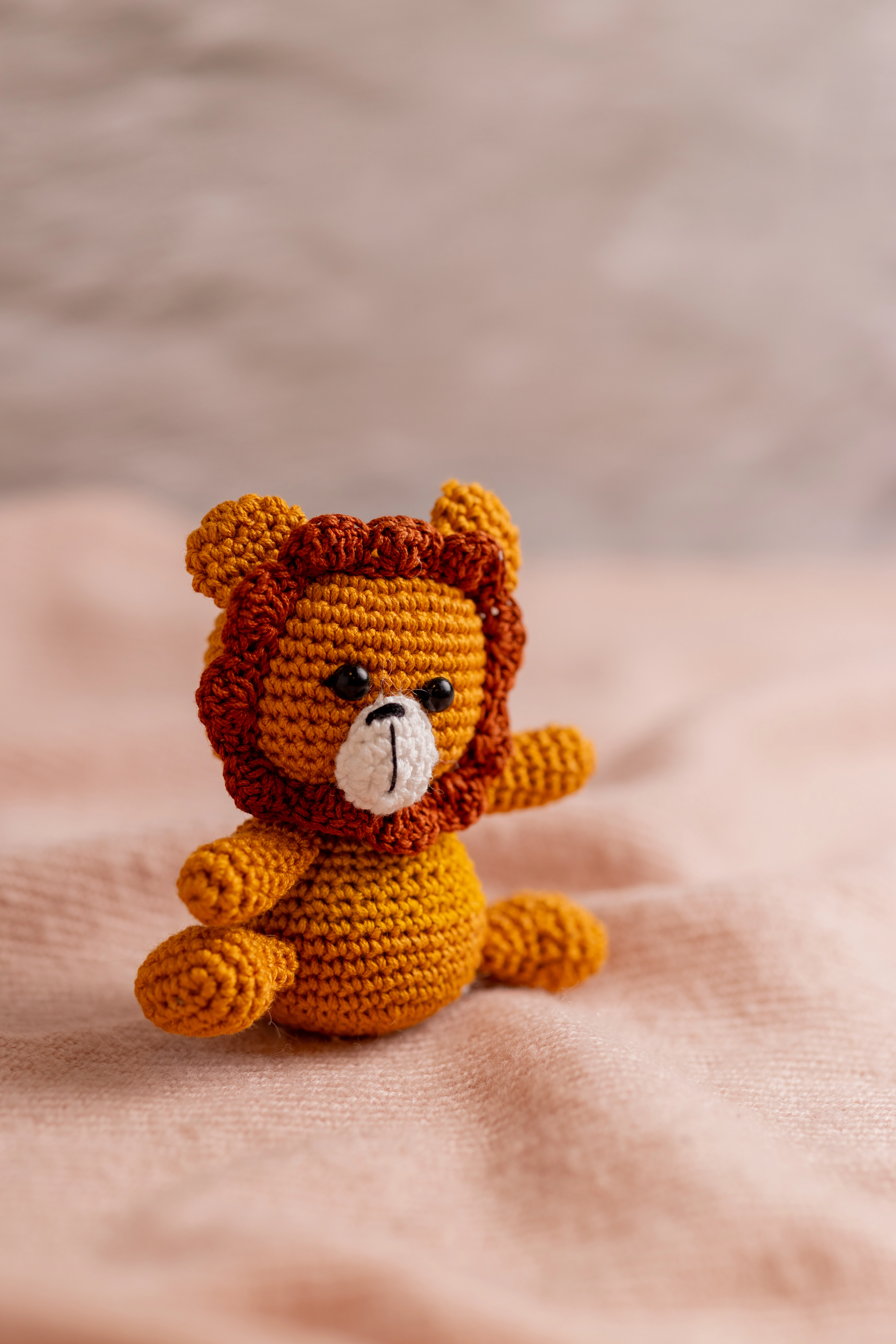 Lion Rattle and Toy Set (4)