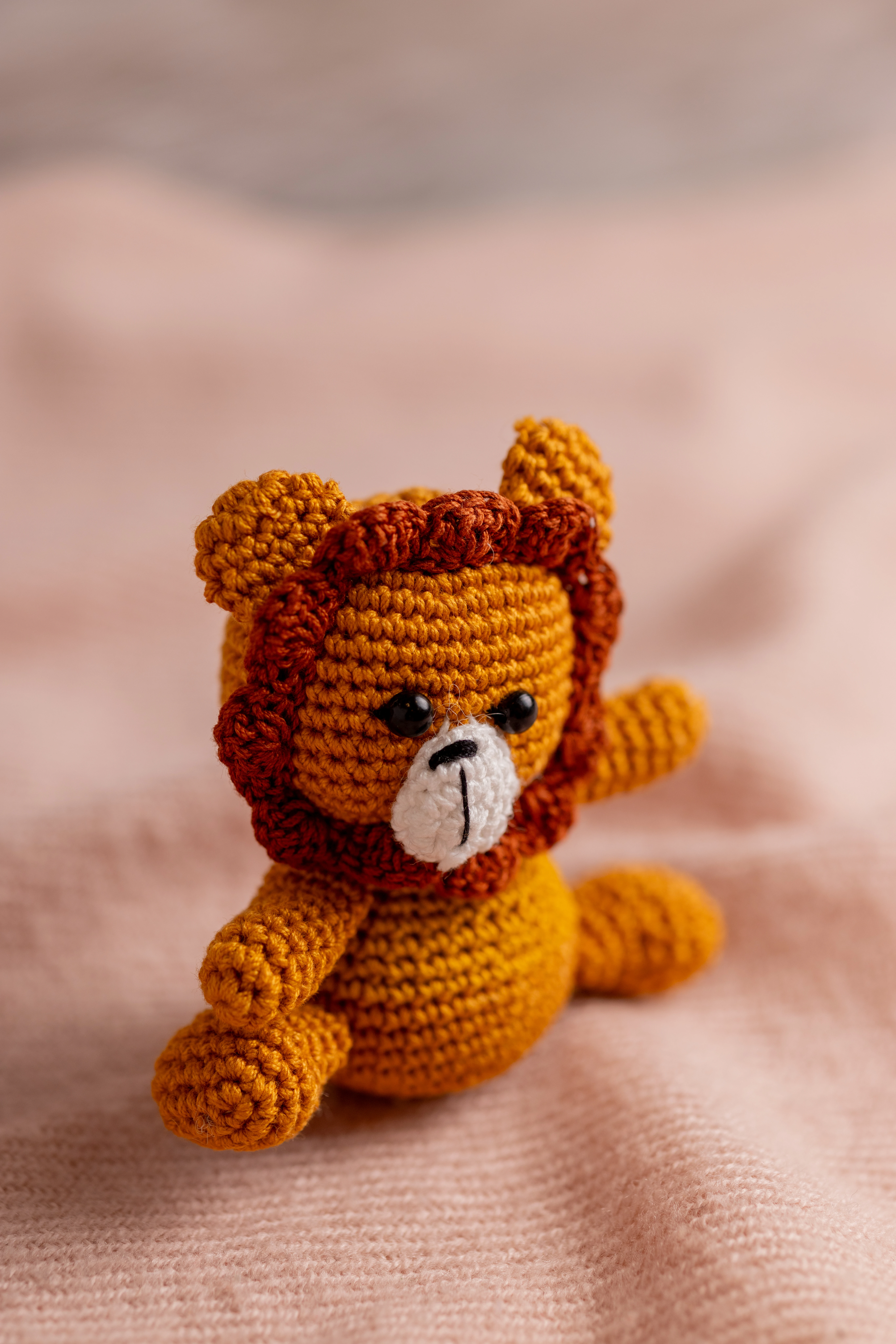 Lion Rattle and Toy Set (5) (1)