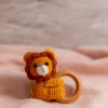 Lion Rattle and Toy Set (7)