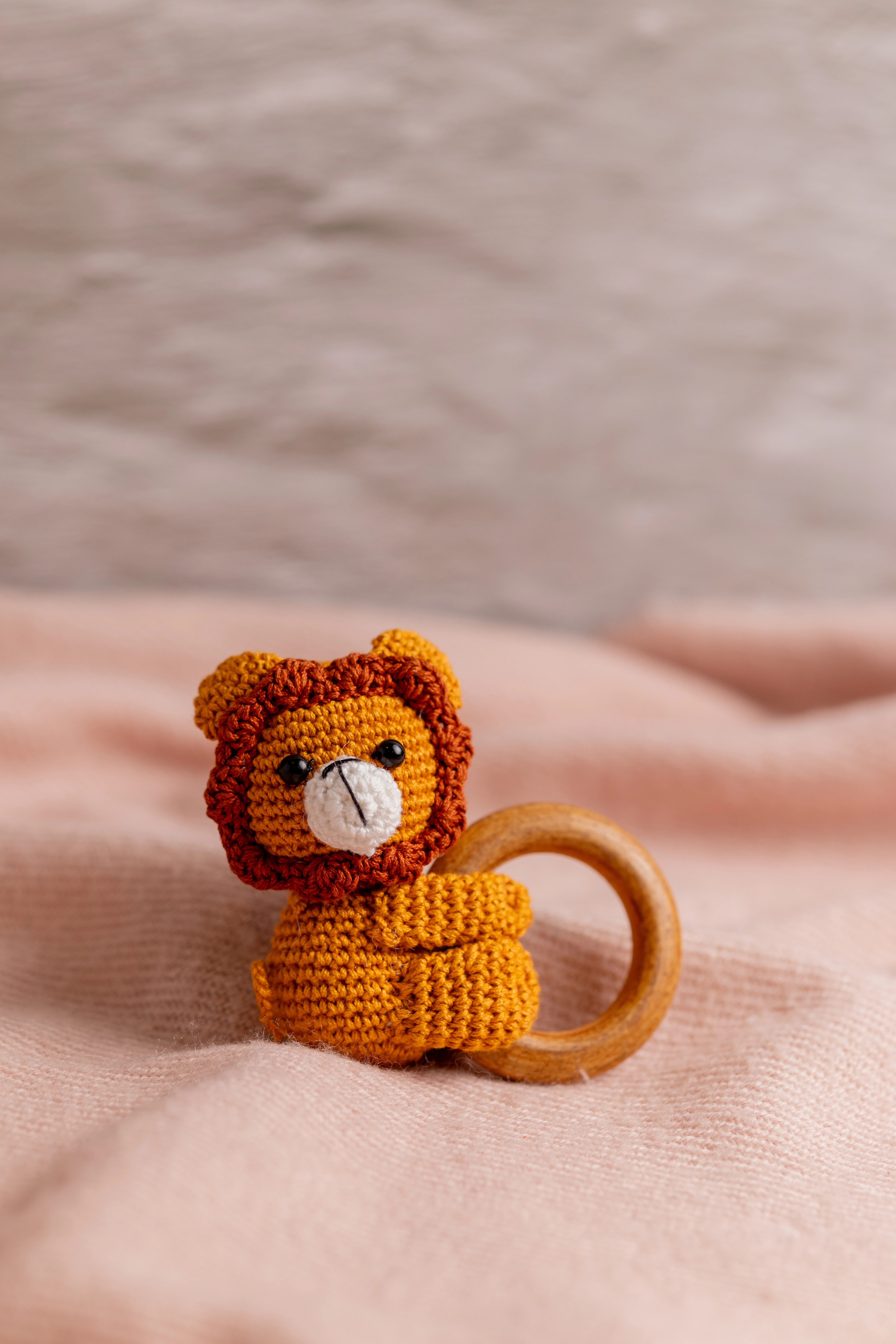 Lion Rattle and Toy Set (7)