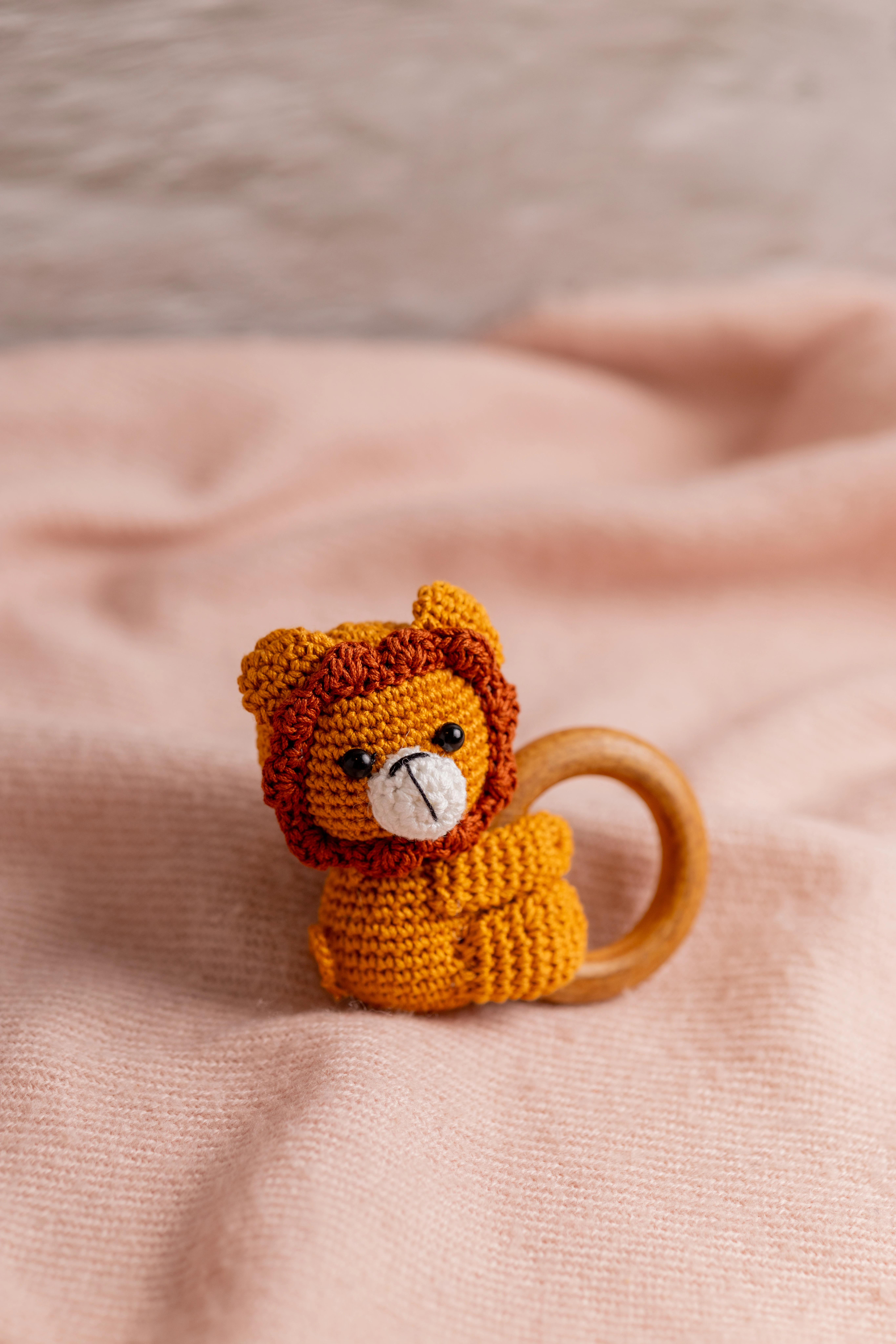 Lion Rattle and Toy Set (8)