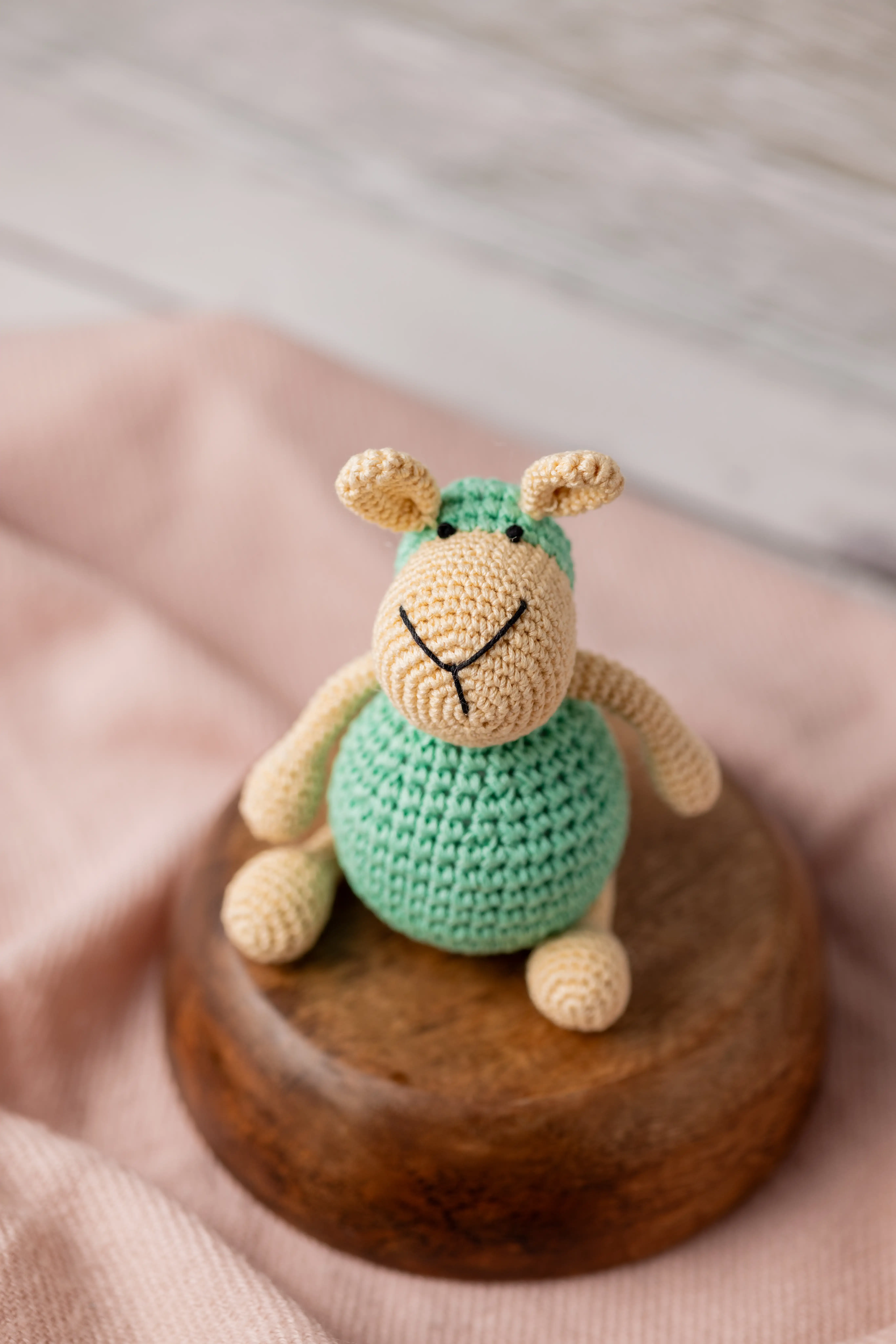 Aster the Sheep (10) result