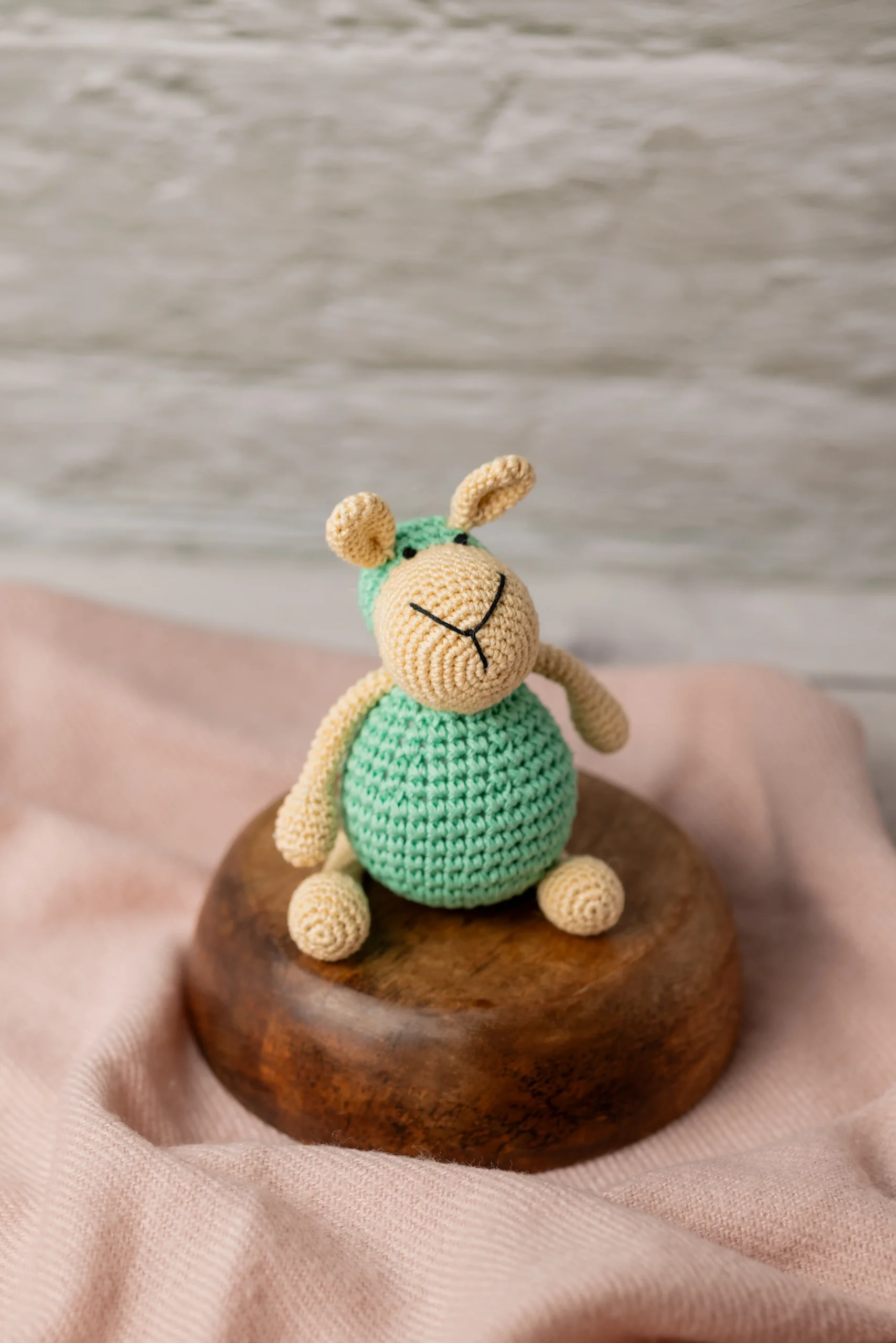 Aster the Sheep (1) result