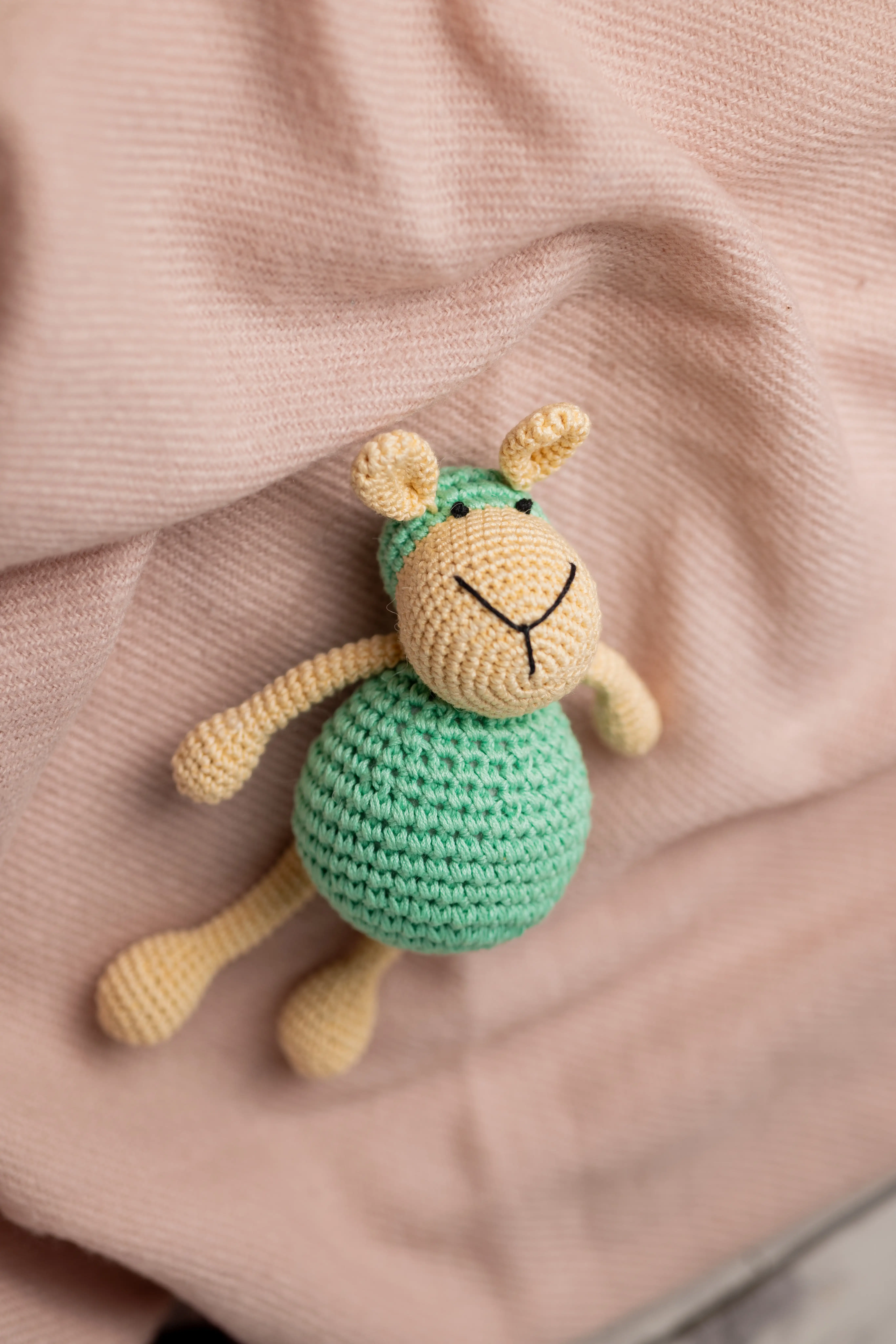 Aster the Sheep (2) result