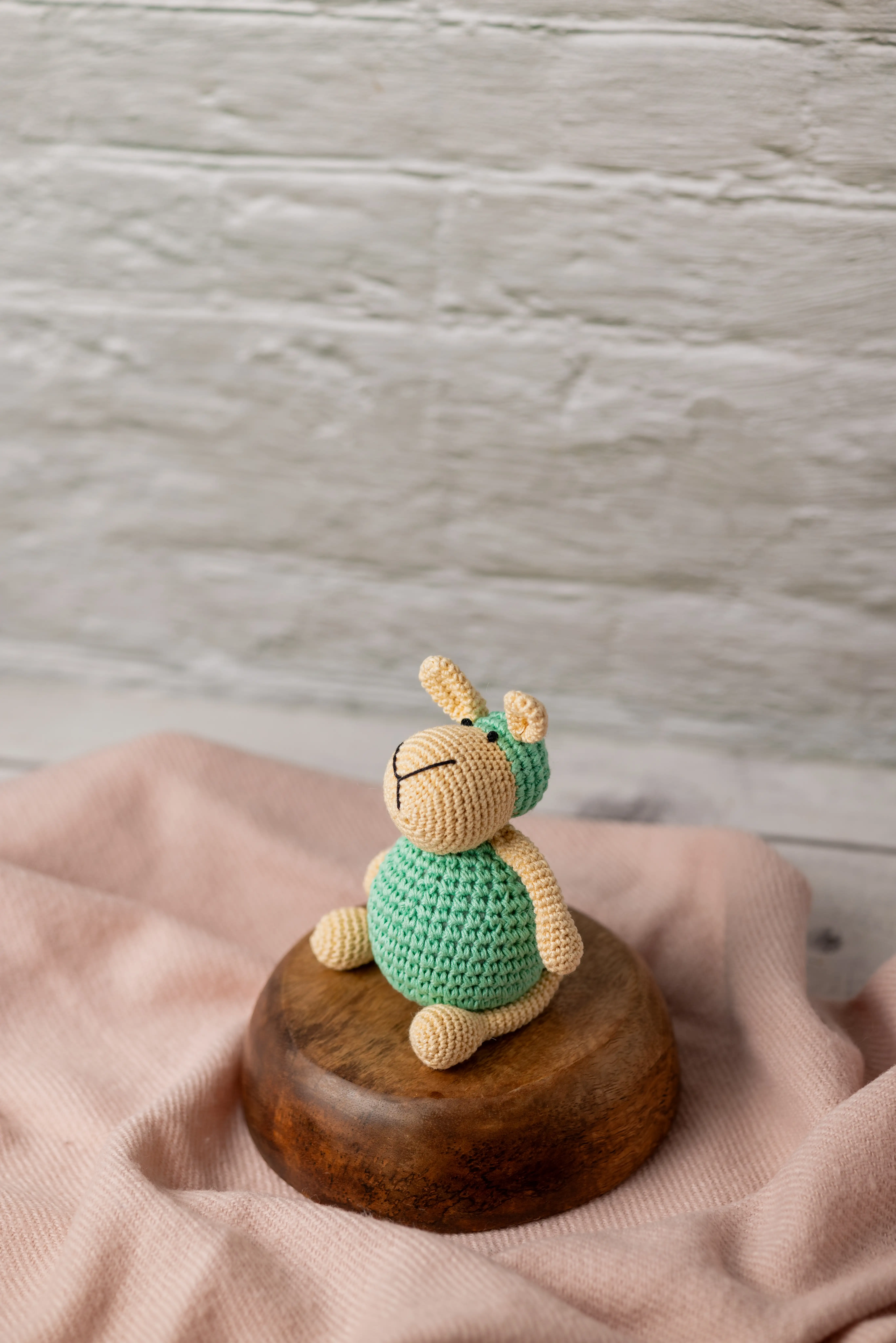 Aster the Sheep (5) result