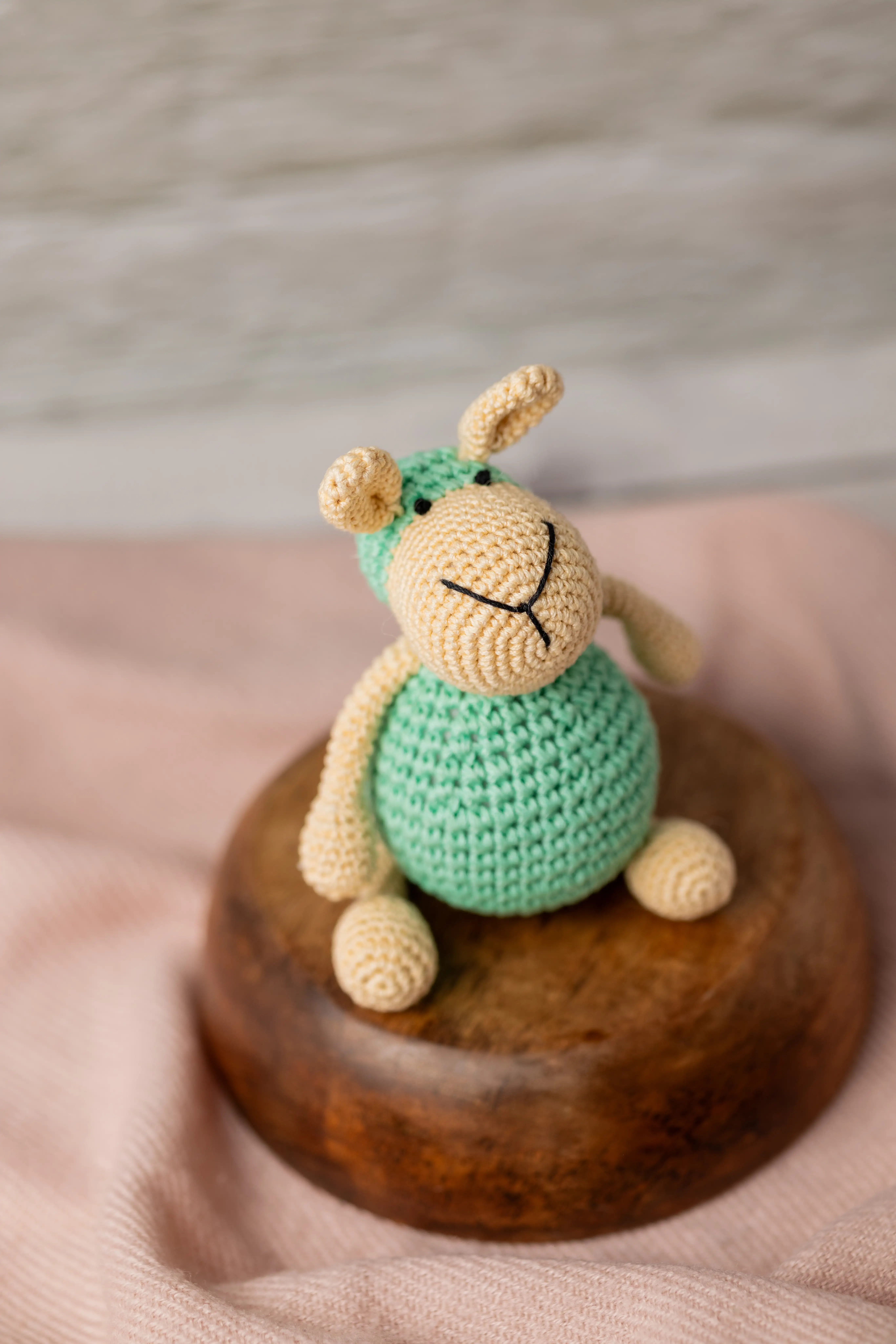 Aster the Sheep (8) result