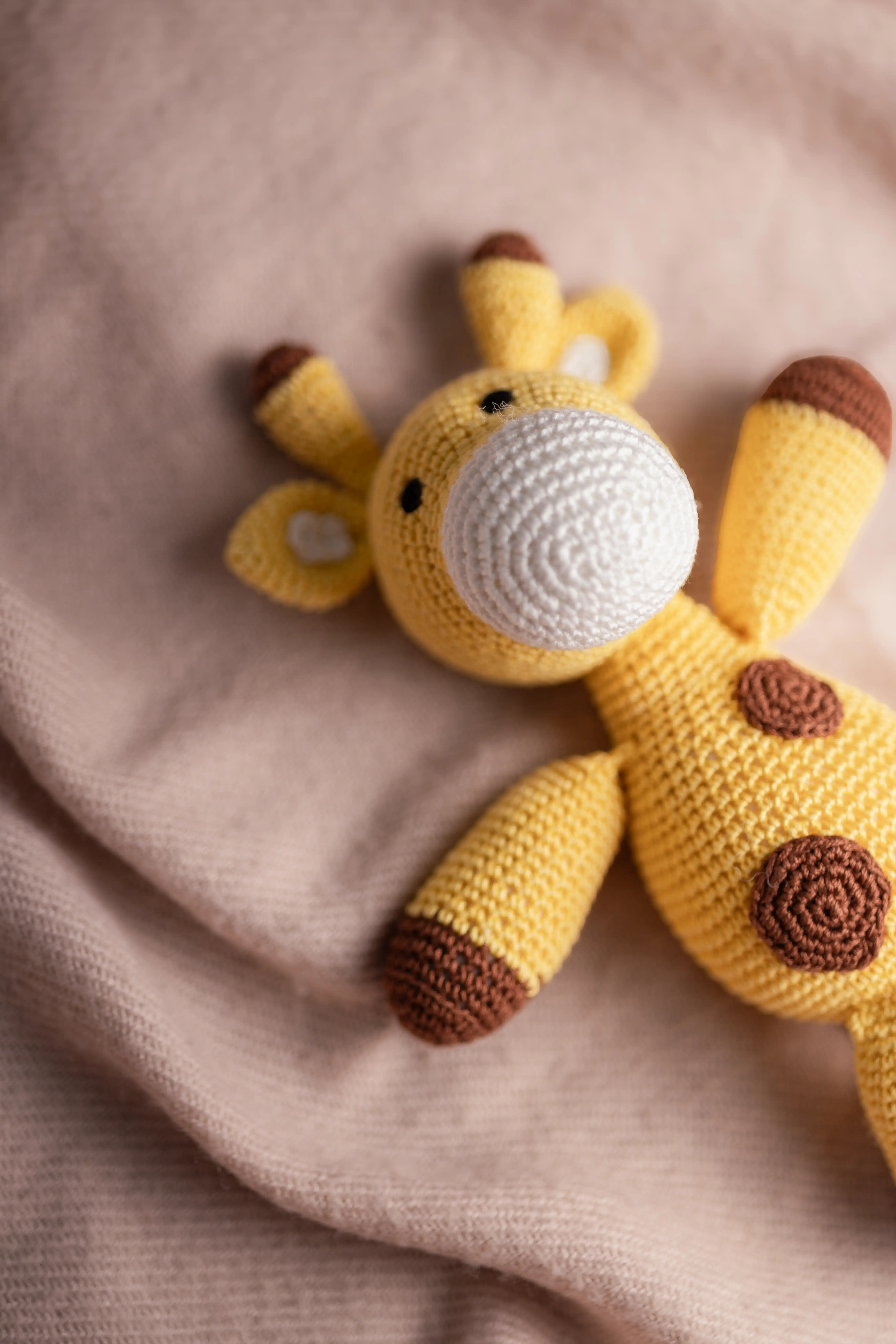 Boban Giraffe (5) result